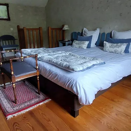 La Source De Bury Bed & Breakfast Chambon-sur-Cisse Room photo